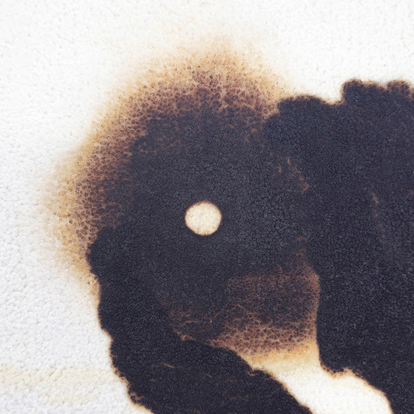 Nothing Is Burning