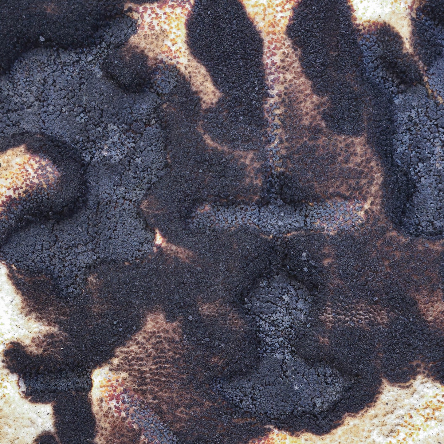 Uncontrolled Fire #1
