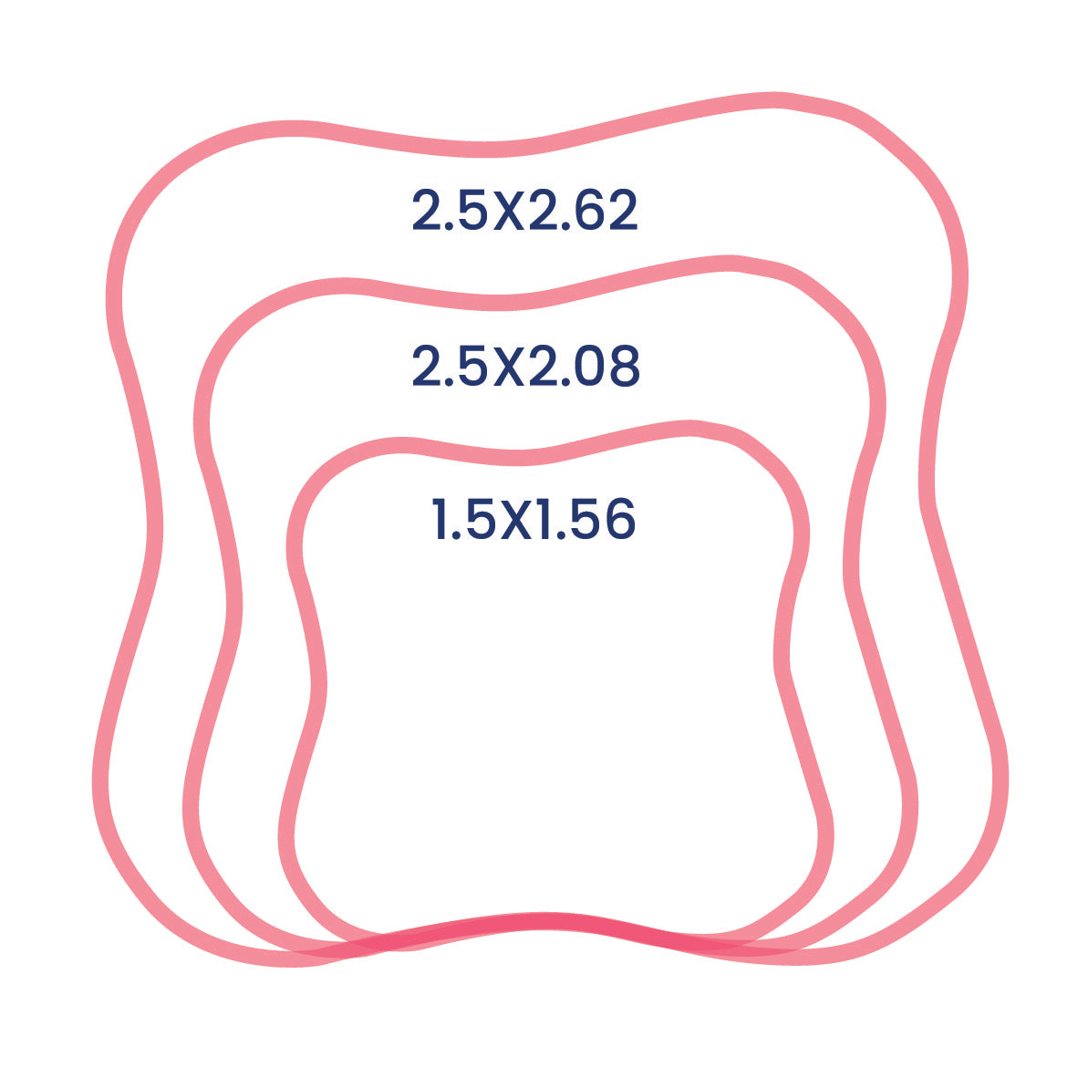 Form #5