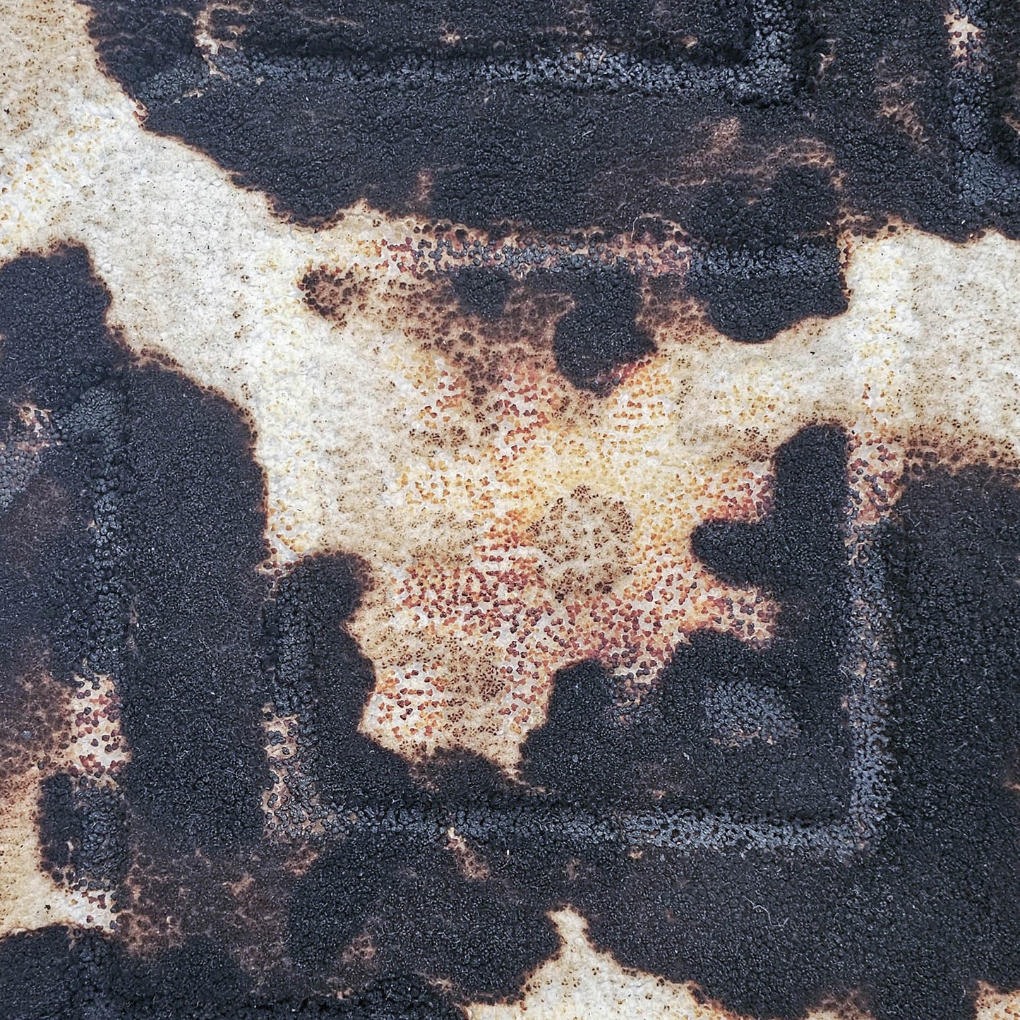 Uncontrolled Fire #1